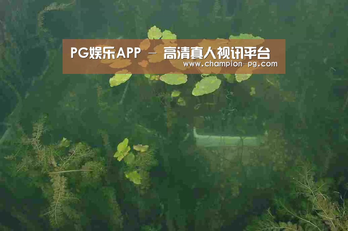 案例展示三(图1)