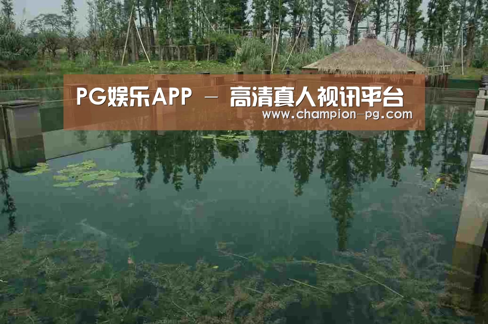 案例展示二(图1)