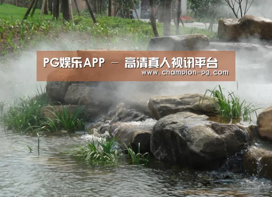案例展示五(图1)