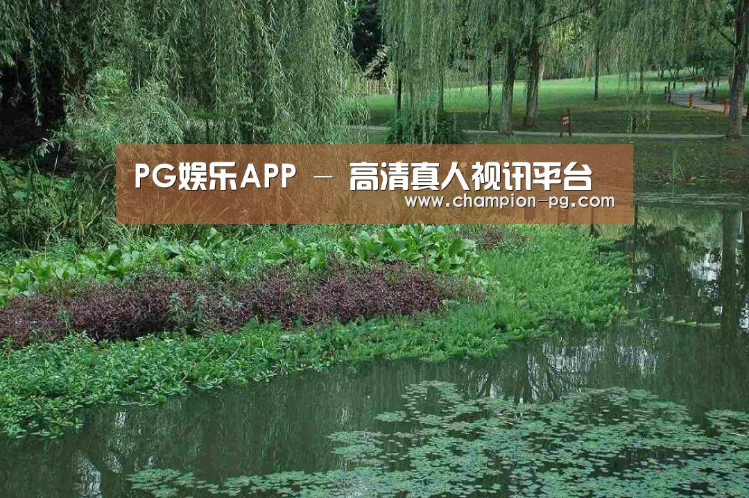 案例展示一(图1)