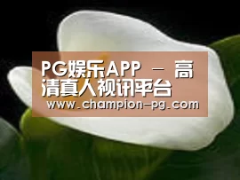 产品名称七