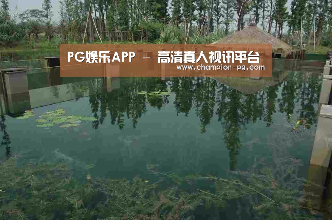 案例展示二