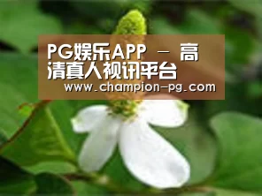 产品名称三
