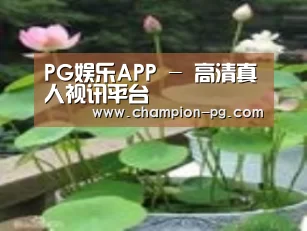 产品名称一