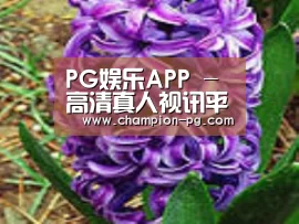 产品名称八