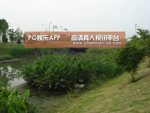 案例展示四