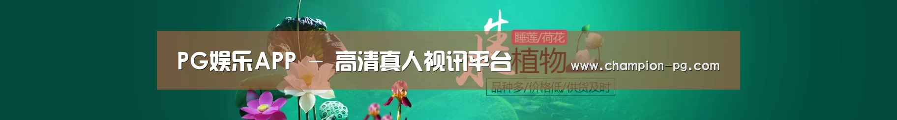 鲜花水草花卉网站模板