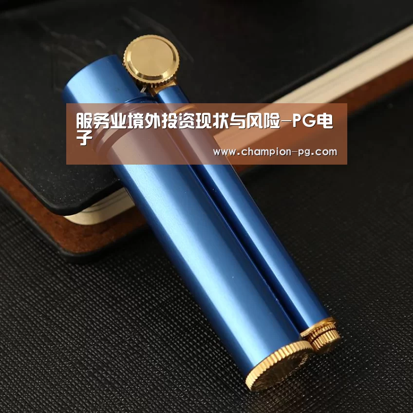 服务业境外投资现状与风险-PG电子(图1) PG电竞APP