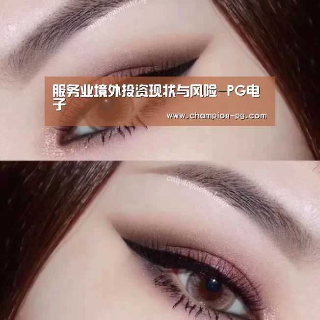 服务业境外投资现状与风险-PG电子(图2) PG电竞APP