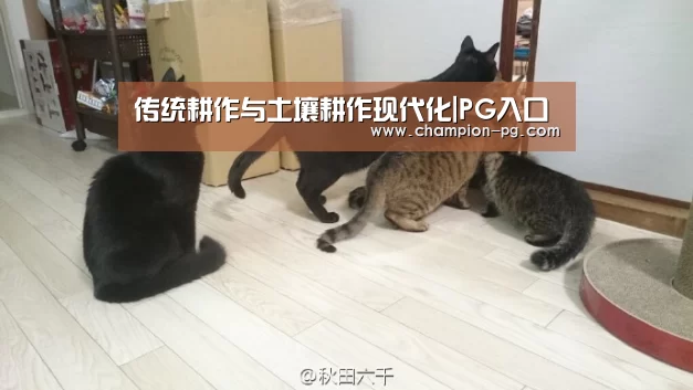 传统耕作与土壤耕作现代化|PG入口(图1) PG电子