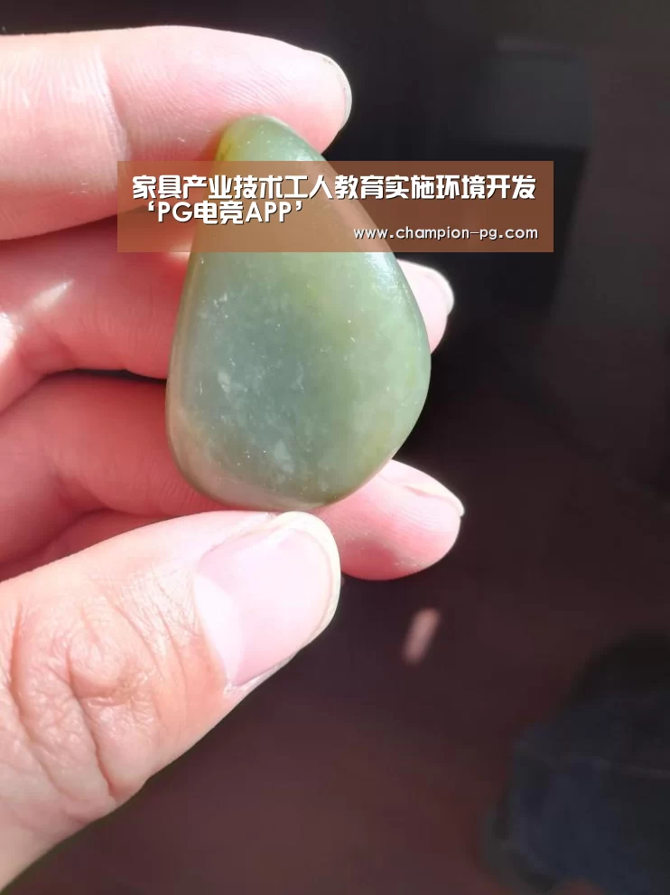 家具产业技术工人教育实施环境开发‘PG电竞APP’(图2) PG电子